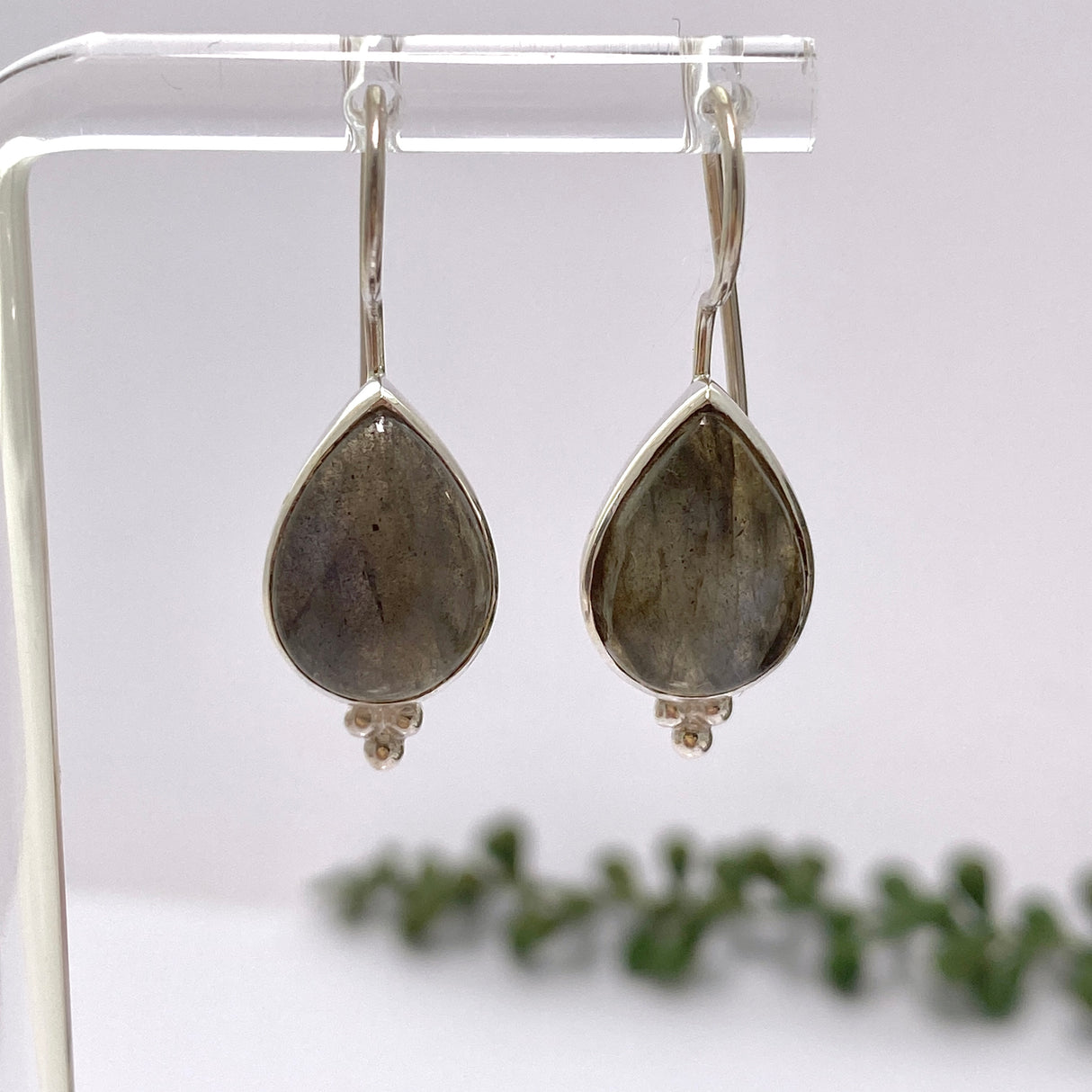 Labradorite Teardrop Cabochon Fixed Hook Earrings PEGJ271