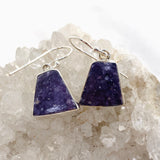 Lepidolite Trapezoid Cabochon Earrings KEGJ1525