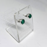 Malachite Round Cabochon Bezel Set Stud Earrings 5.5mm PSE023