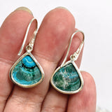 Malacholla (Malachite and Chrysocolla) Teardrop Cabochon Earrings PEGJ353