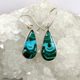 Malacholla (Malachite and Chrysocolla) Teardrop Cabochon Earrings PEGJ354