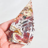 Mexican Crazy Lace Agate Freeform CLAF-01 - Nature's Magick