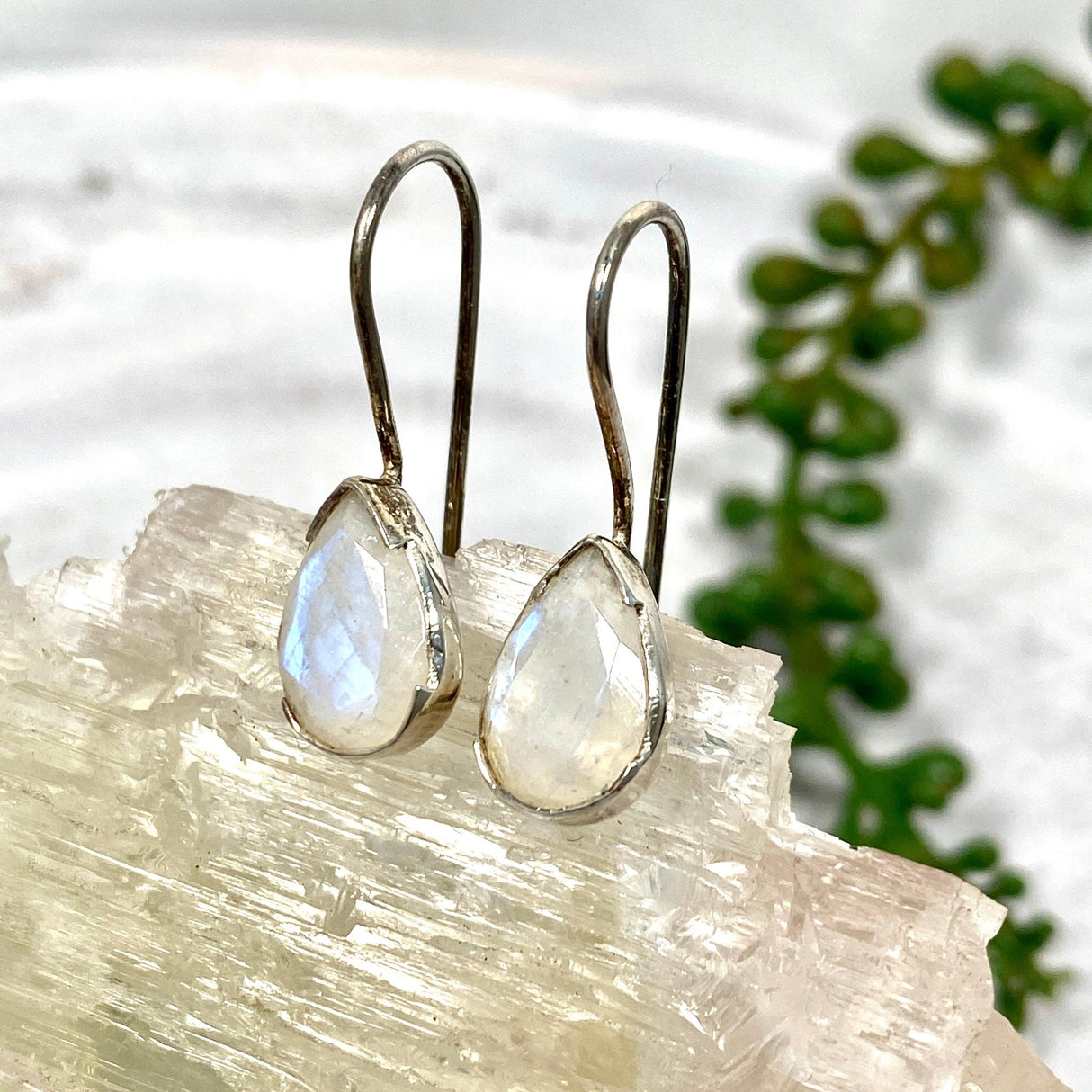 Moonstone faceted teardrop earrings KEGJ888 - Nature's Magick