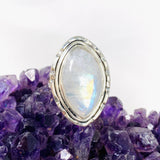 Moonstone Marquise Ring s.8 KRGJ3033 - Nature's Magick