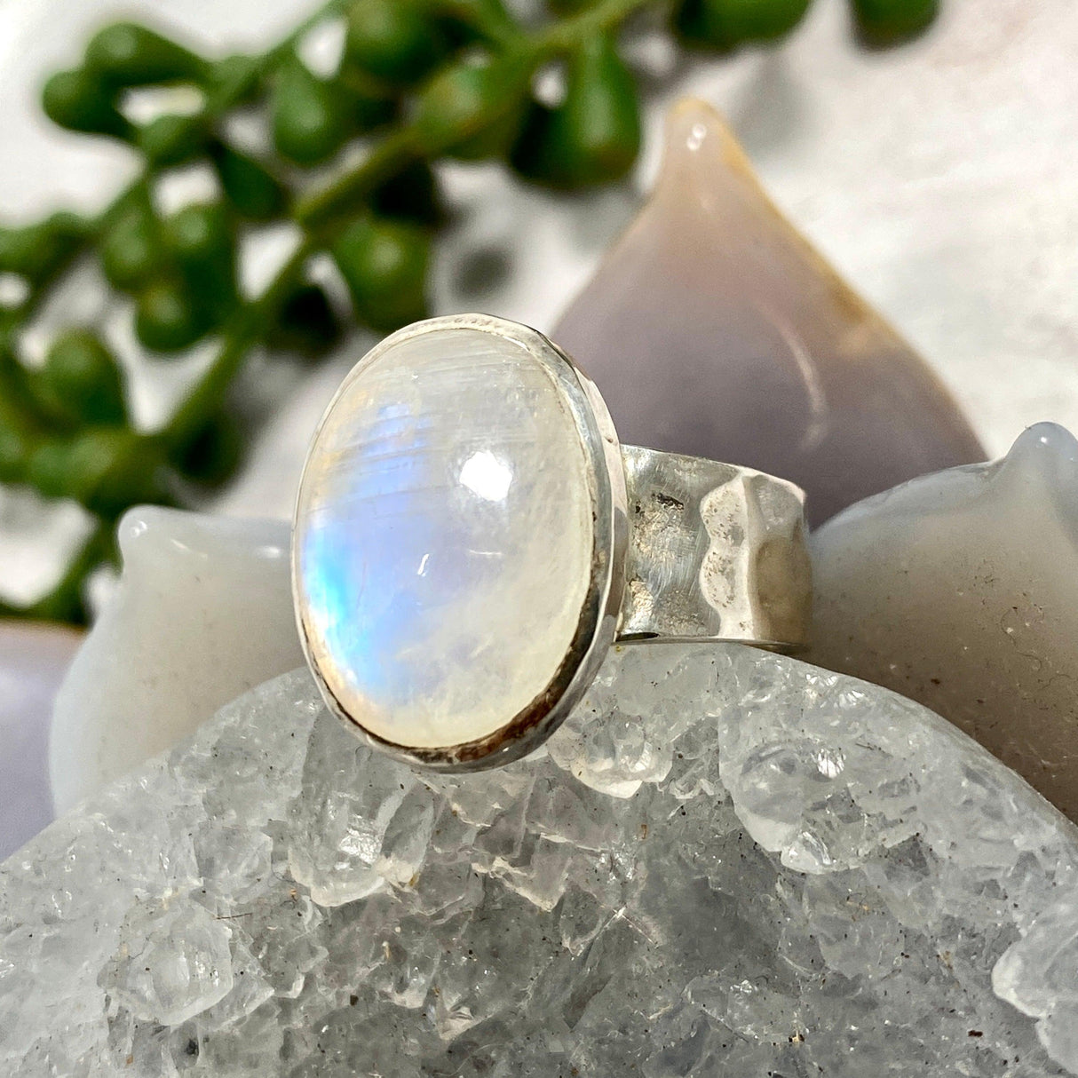 Moonstone oval beaten band ring s.8 KRGJ1783 - Nature's Magick