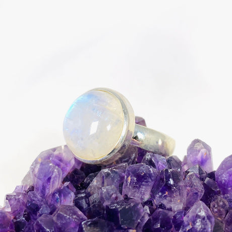 Moonstone Oval Ring s.11 KRGJ3014 - Nature's Magick