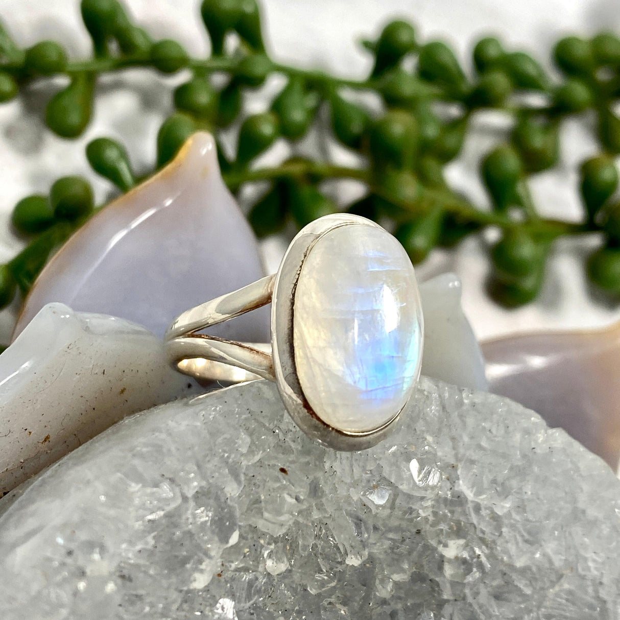 Moonstone oval ring s.8 KRGJ2188 - Nature's Magick