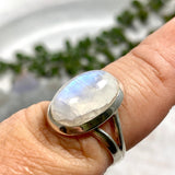 Moonstone oval ring s.8 KRGJ2188 - Nature's Magick