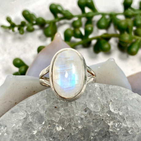 Moonstone oval ring s.8 KRGJ2188 - Nature's Magick