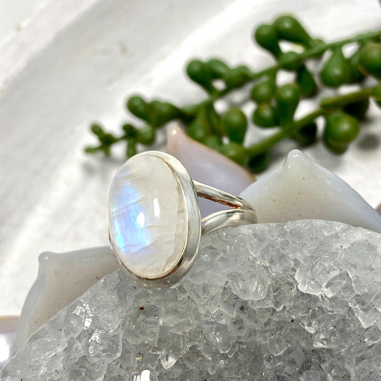 Moonstone oval ring s.8 KRGJ2188 - Nature's Magick