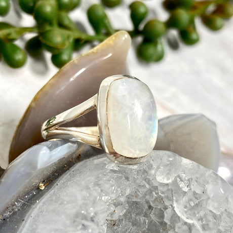 Moonstone rectangular ring s.8 KRGJ2187 - Nature's Magick