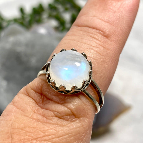 Moonstone round fillagree ring s.7 KRGJ2467 - Nature's Magick