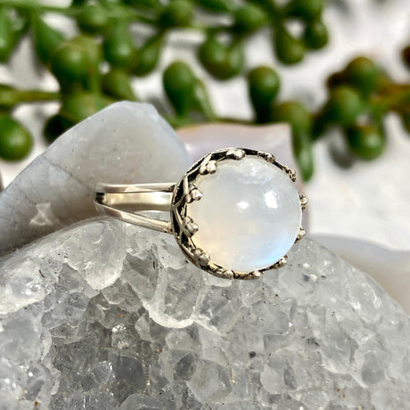 Moonstone round fillagree ring s.7 KRGJ2467 - Nature's Magick