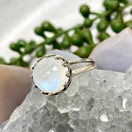 Moonstone round fillagree ring s.7 KRGJ2467 - Nature's Magick