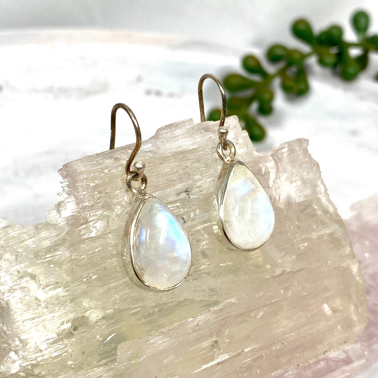 Moonstone teardrop cabochon earrings KEGJ762 - Nature's Magick