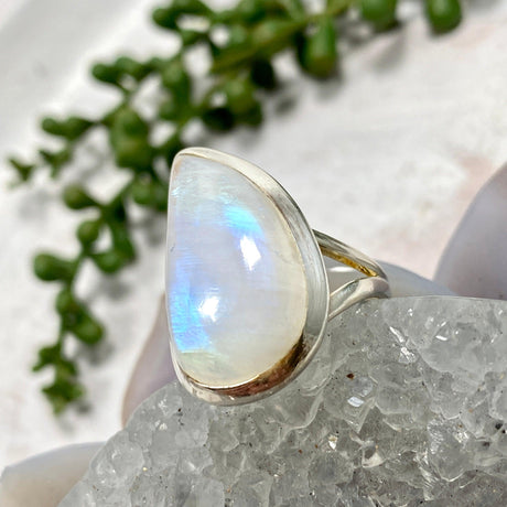 Moonstone teardrop ring s.7 KRGJ2201 - Nature's Magick