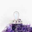 Moonstone Teardrop Ring with Filagree R3977 - Nature's Magick