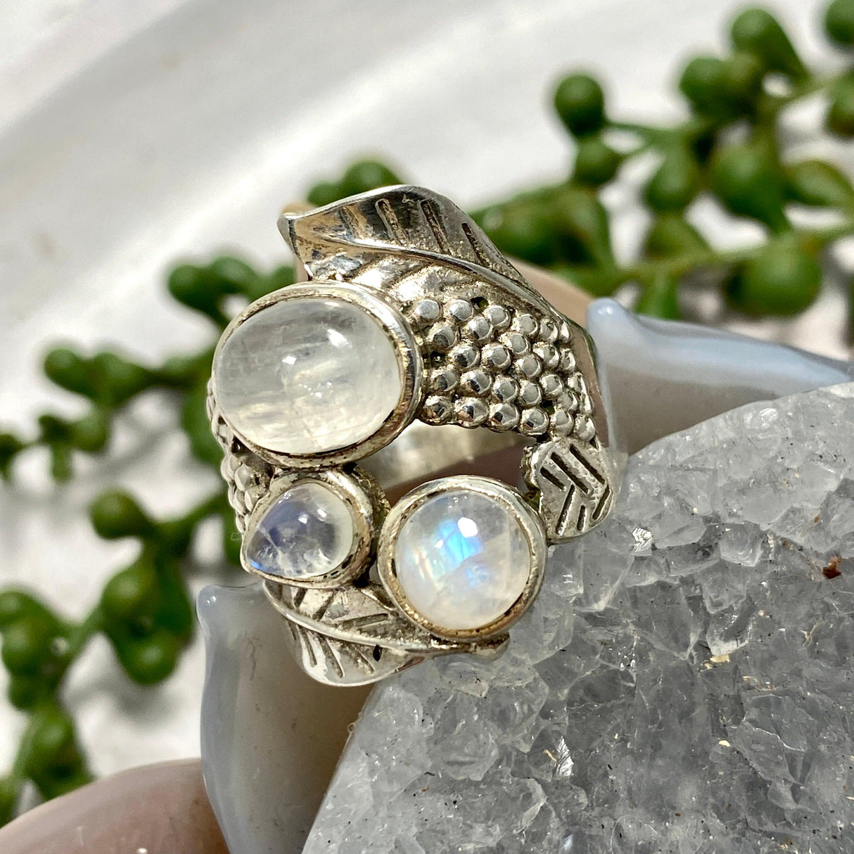 Moonstone triple stone detailed banded ring s.10 SSGJ54 - Nature's Magick