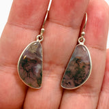 Moss Agate Freeform Cabochon Earrings KEGJ1544