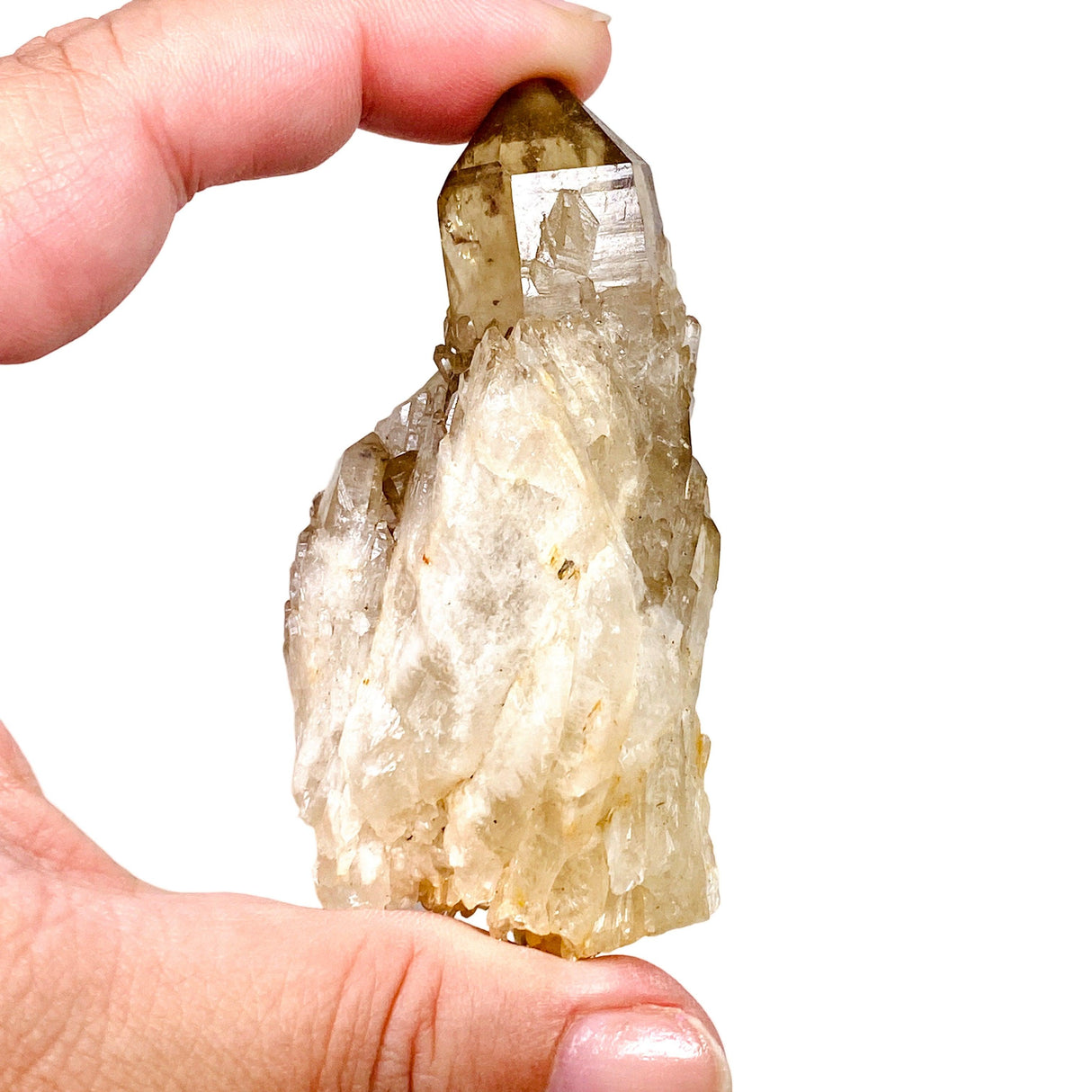 Natural Citrine crystal cluster CR2897 - Nature's Magick