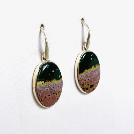 Ocean Jasper Oval Earrings PEGJ136 - Nature's Magick