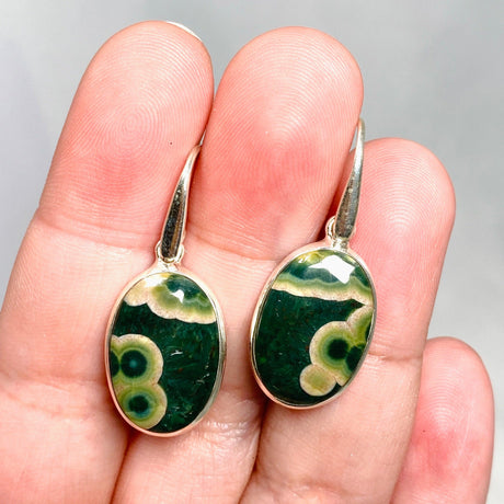 Ocean Jasper Oval Earrings PEGJ159 - Nature's Magick