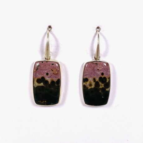 Ocean Jasper Rectangle Earrings PEGJ135 - Nature's Magick