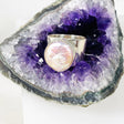 Pearl round ring with thick band s.9 KRGJ2935 - Nature's Magick