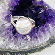 Pearl round split band ring KRGJ2934 - Nature's Magick