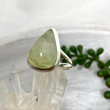 Prehnite teardrop ring s.9 KRGJ2465 - Nature's Magick