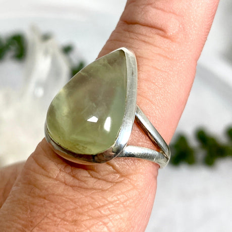 Prehnite teardrop ring s.9 KRGJ2465 - Nature's Magick