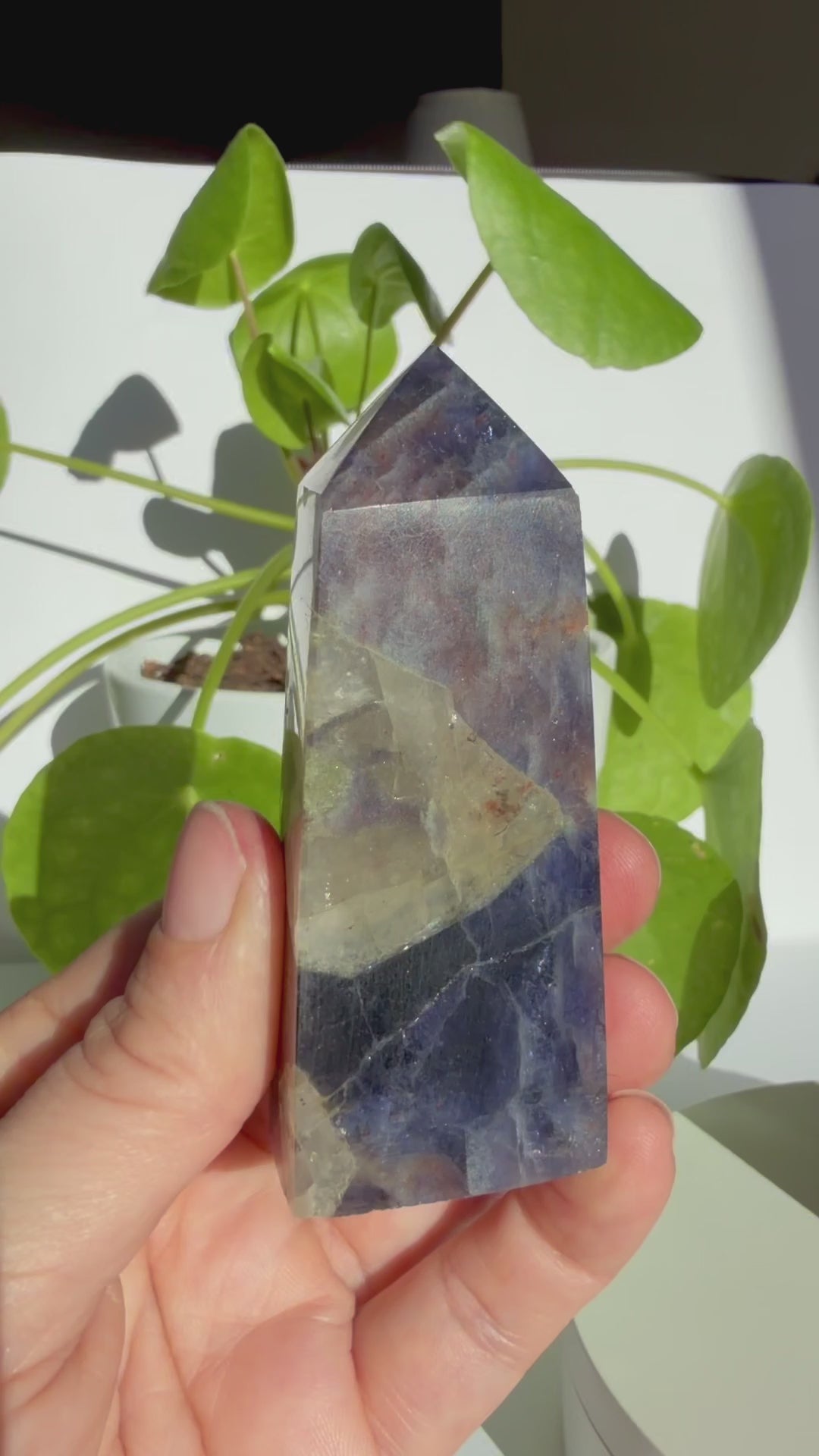 Sunstone in Iolite Square Point SIP-05