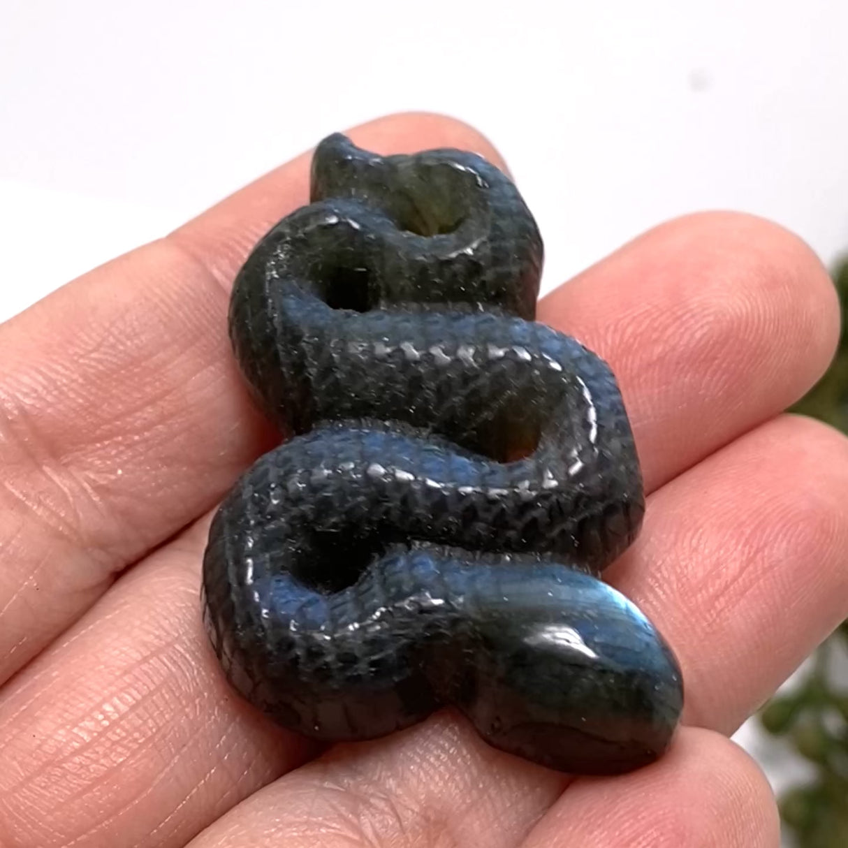 Labradorite slithering snake LABSN-01