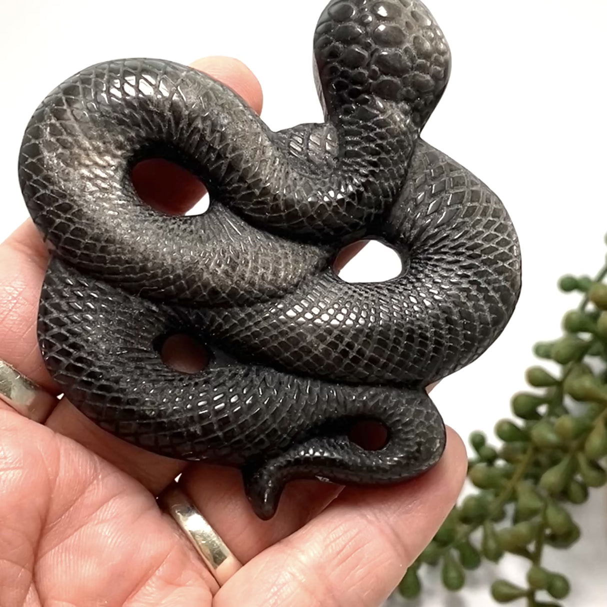 Silversheen Obsidian slithering snake SOSNL-01