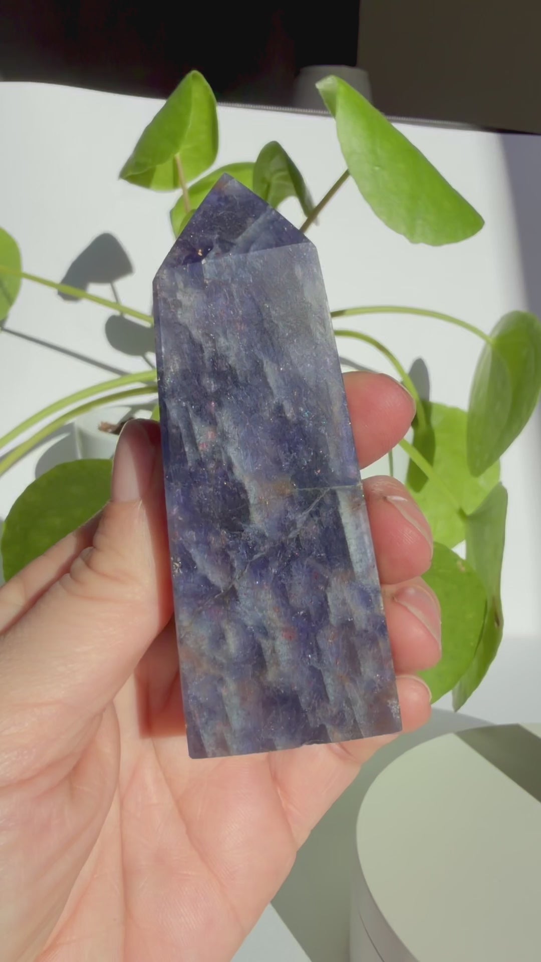 Sunstone in Iolite Square Point SIP-04