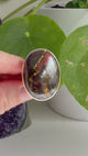 Tiger Iron Oval Ring with Hammered Band, Size 11 KRGJ3064