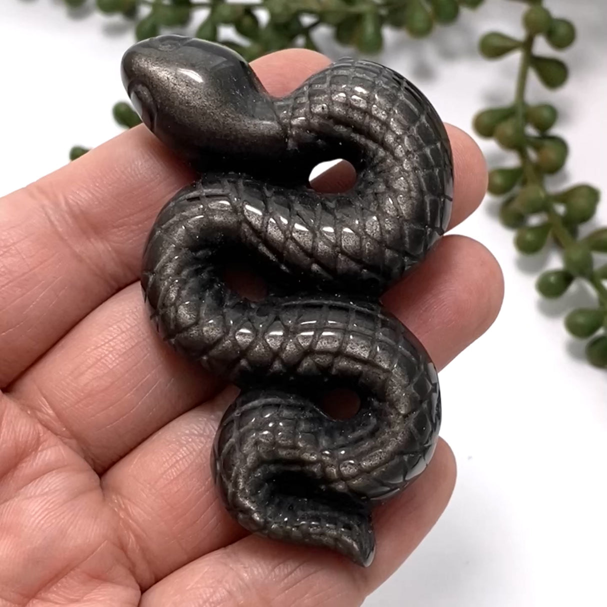 Silversheen Obsidian slithering snake SOSNM-01