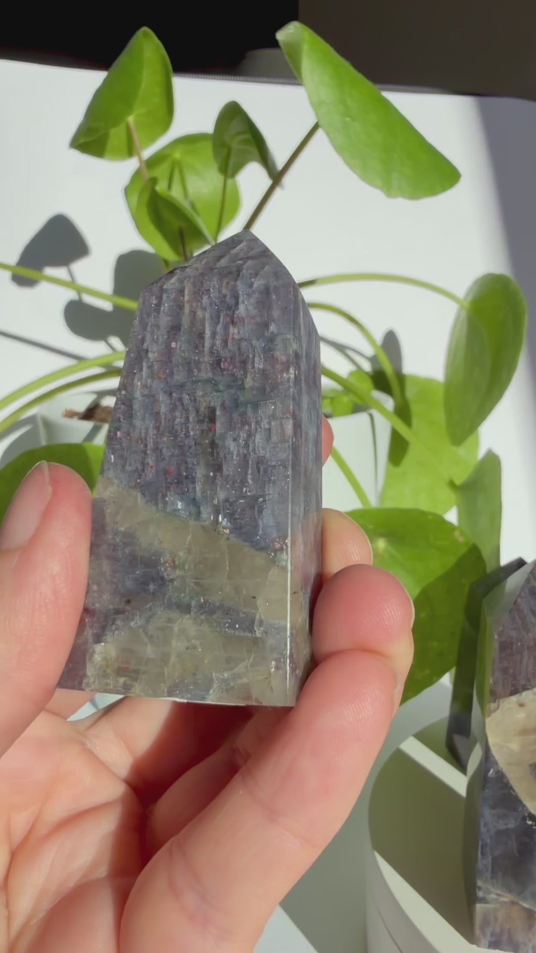 Sunstone in Iolite Square Point SIP-02