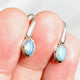 Australian Opal (Solid) Oval Earrings PEGJ138