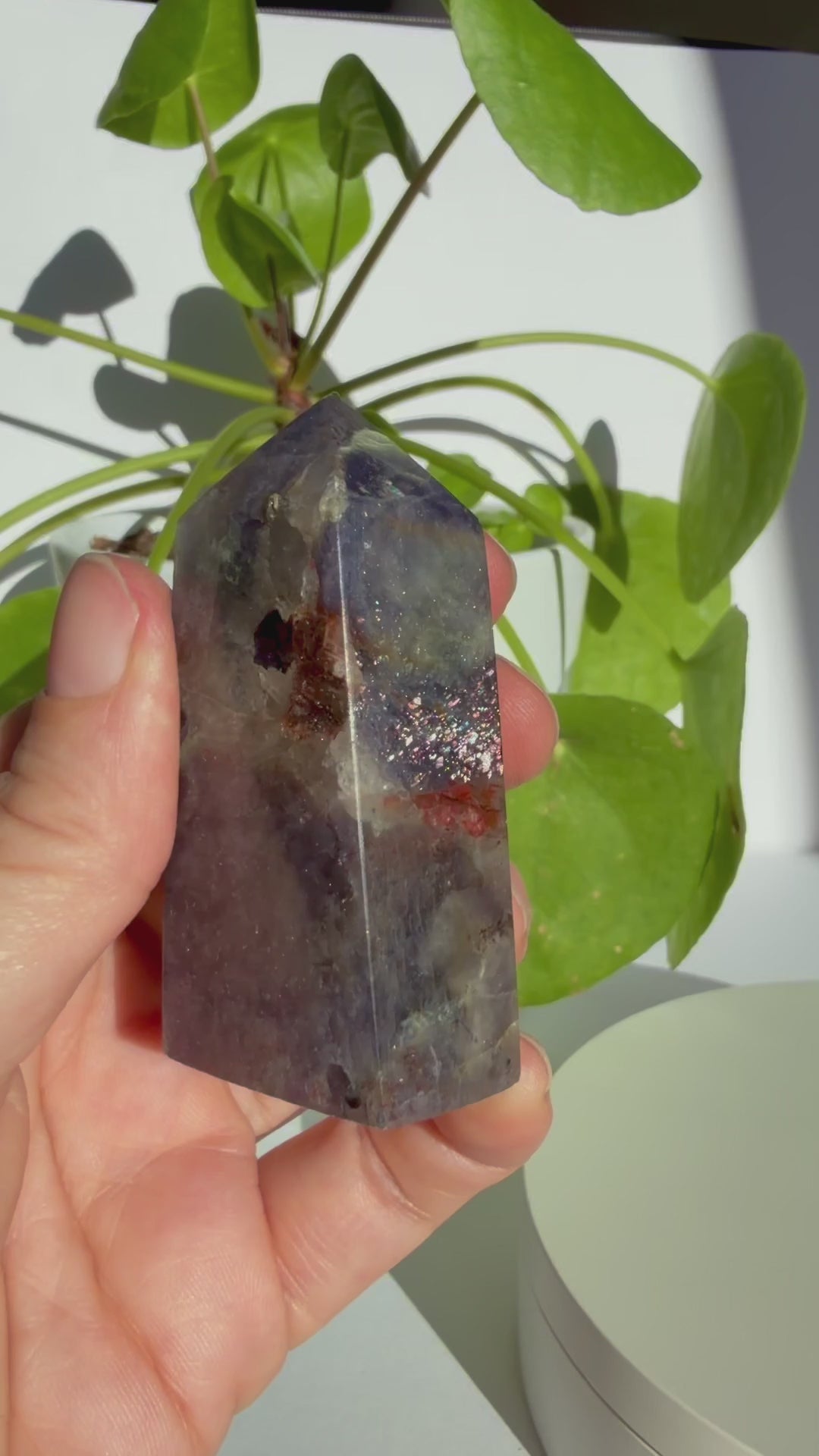 Sunstone in Iolite Square Point SIP-01