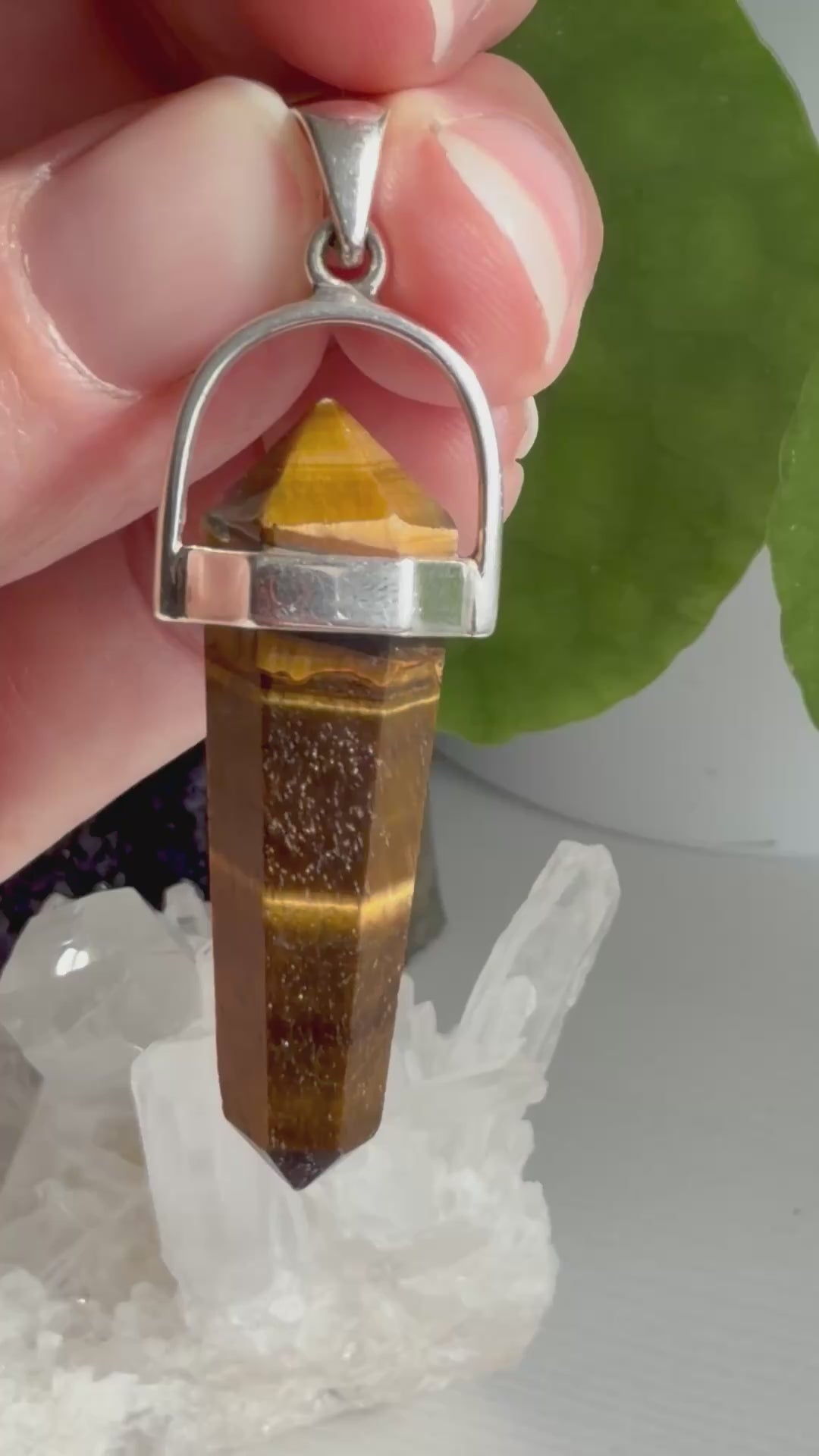 Tiger's Eye Double-Terminated Point Pendant PPGJ1234