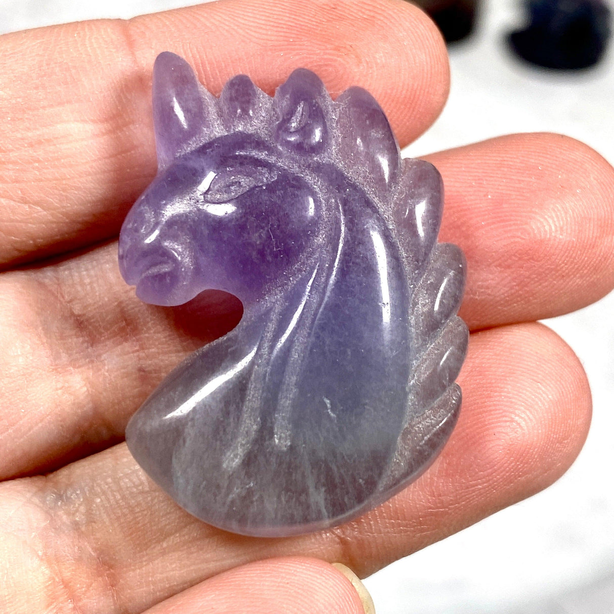 Rainbow Fluorite Unicorn Carvings C1227 - Nature's Magick