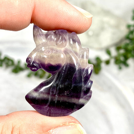 Rainbow Fluorite Unicorn Carvings C1227 - Nature's Magick