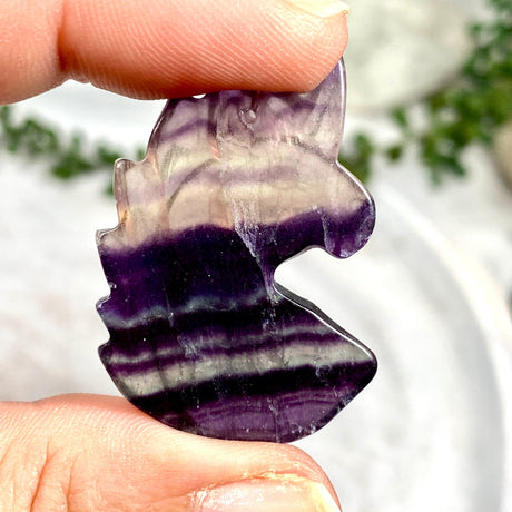 Rainbow Fluorite Unicorn Carvings C1227 - Nature's Magick