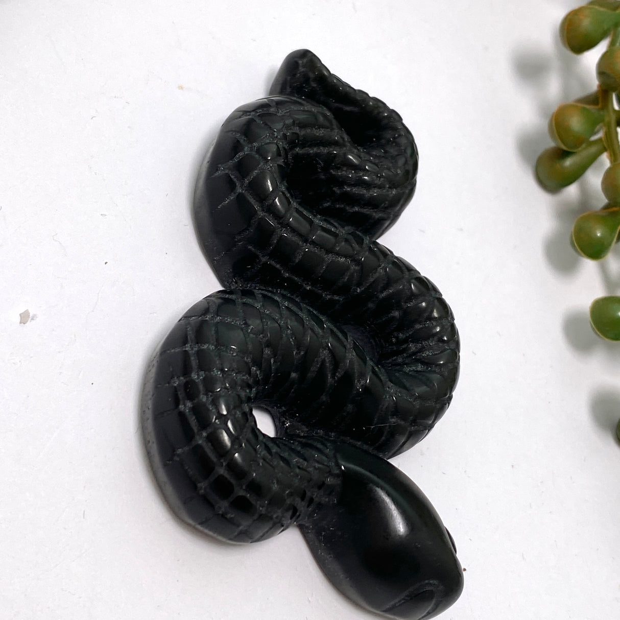 Rainbow Obsidian slithering snake ROSNM-01