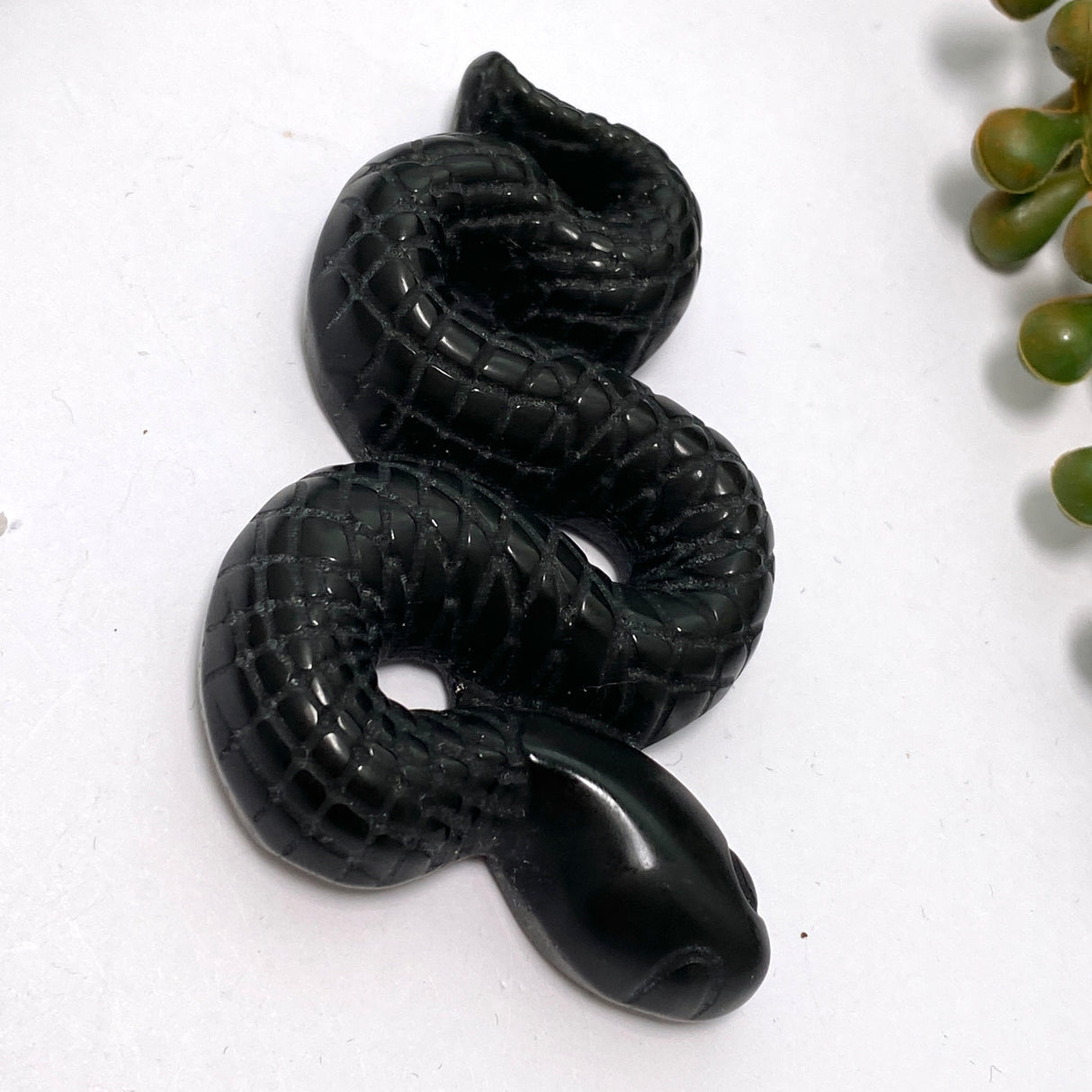 Rainbow Obsidian slithering snake ROSNM-01