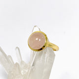 Rose Quartz Round Cabochon Gold Plated Ring Size 10 RG608-RQ-10