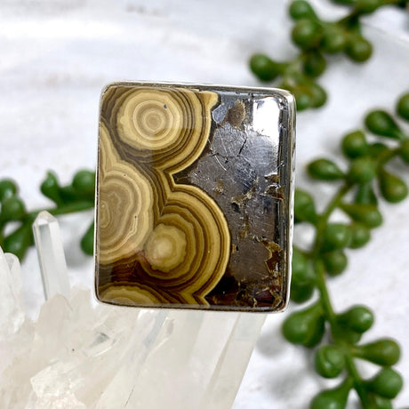 Schalenblende rectangle ring s.9 KRGJ1652 - Nature's Magick