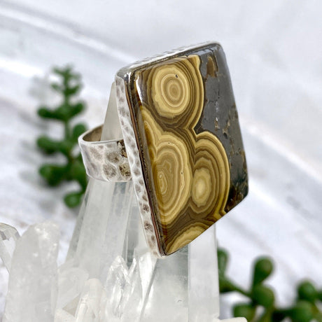 Schalenblende rectangle ring s.9 KRGJ1652 - Nature's Magick