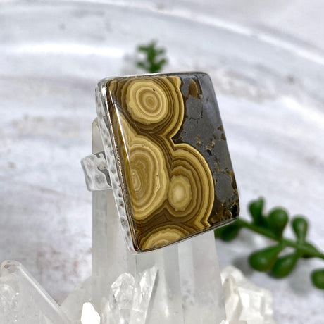 Schalenblende rectangle ring s.9 KRGJ1652 - Nature's Magick